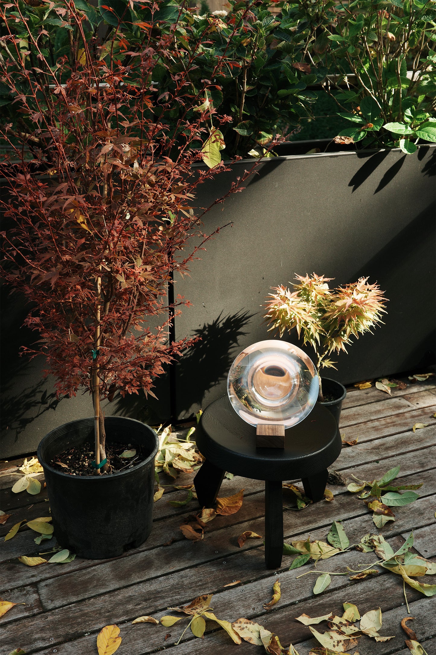 Decorative table with a metallic bowl, potted plants on a wooden deck