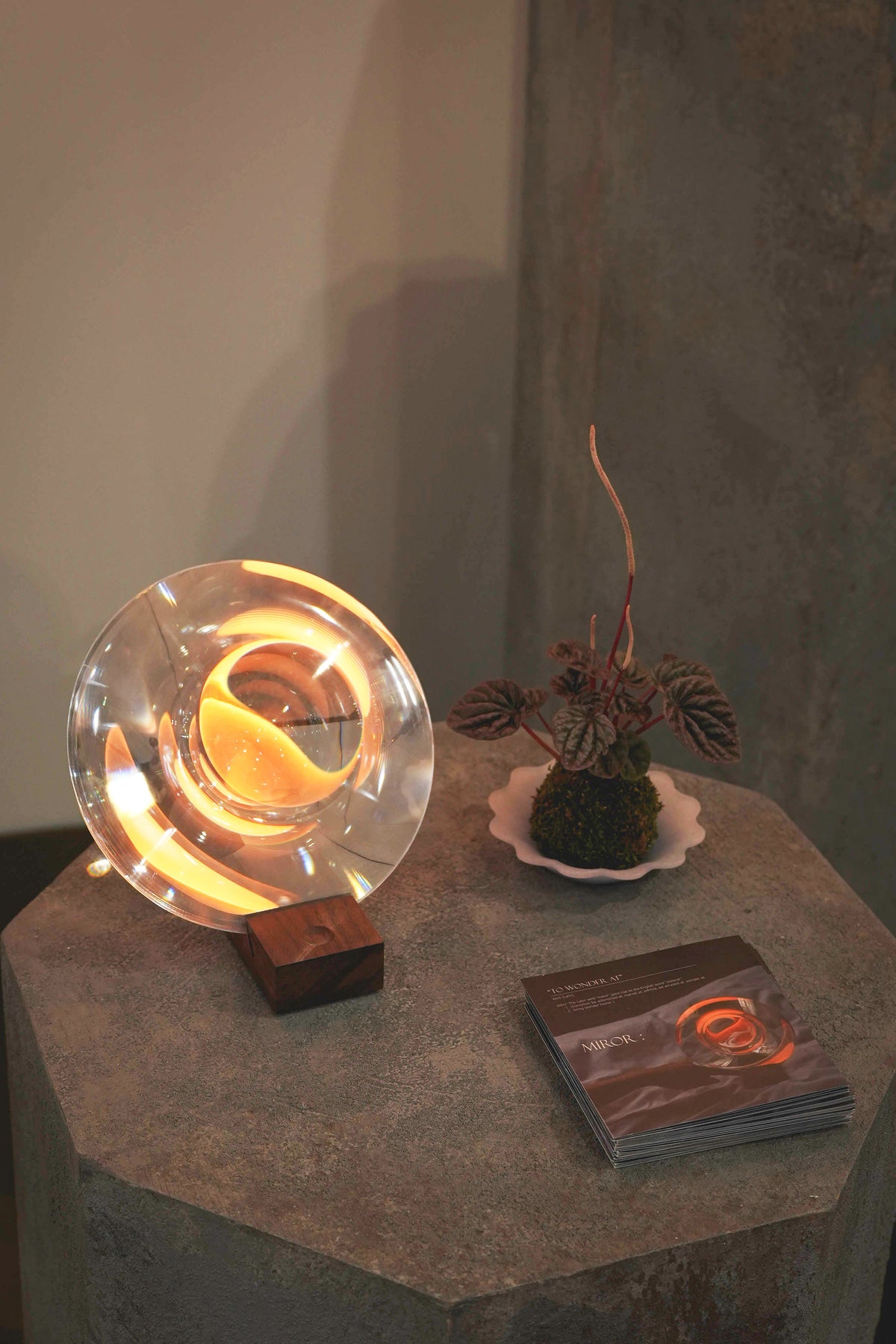 Decorative lamp and plant on a stone surface with a soft background