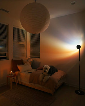 My dog finally has her own little sunset space!